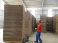 /album/galeria-de-fotos%3a-industria-de-papel-e-papel%c3%a3o/sam-7187-jpg1/