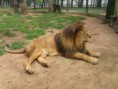 /album/galeria-de-fotos-safaris-farm/sam-9401-jpg1/