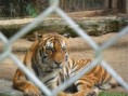 /album/galeria-de-fotos-safaris-farm/sam-9425-jpg1/
