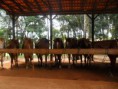 /album/galeria-de-fotos-safaris-farm/sam-9454-jpg1/